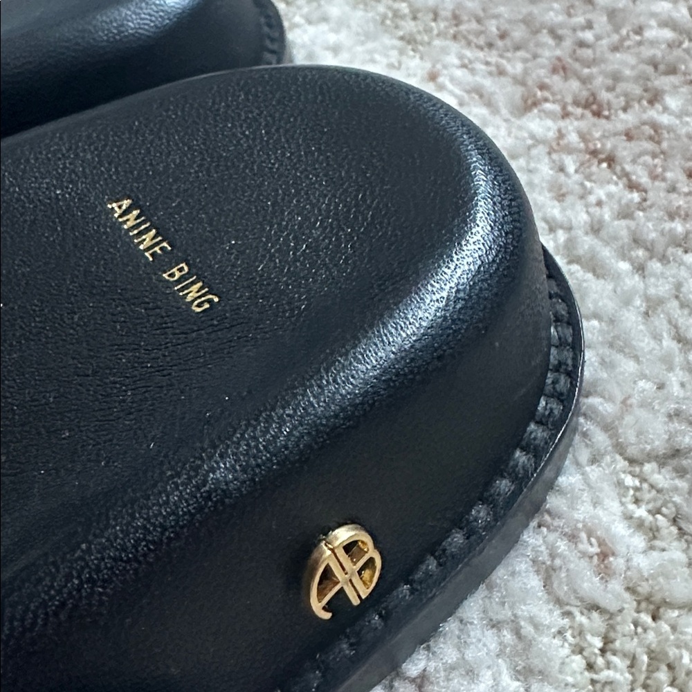 Anine Bing Waylon Slide Size 40 EUC - Picture 10 of 14